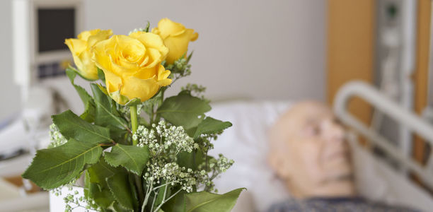 Palliativmedizin Unterstützung Für Menschen In Der Letzten Lebensphase • Doctorstoday