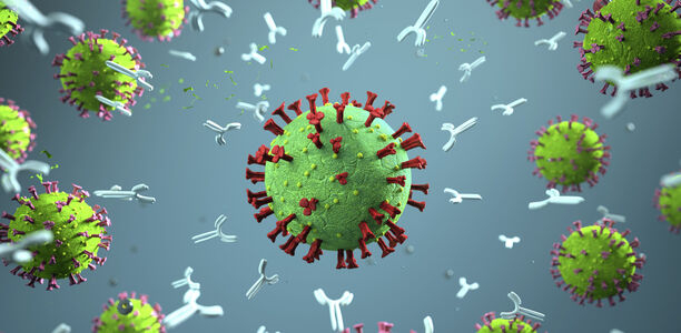 Bild zu COVID-19 - Antikörpertests: Was sagen sie aus?