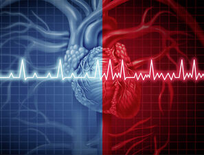 Bild zu Herz-Kreislauf-Erkrankungen - Notfalltherapie von Rhythmusstörungen